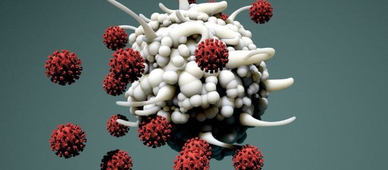 İmmünoterapi Nedir? İmmünoterapi Kansere Karşı Nasıl Etki Eder?