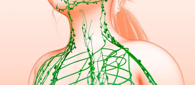 Lenf Bezleri Büyümesi (Lenfadenopati) Nedir? Belirtileri, Nedenleri ve Tedavisi