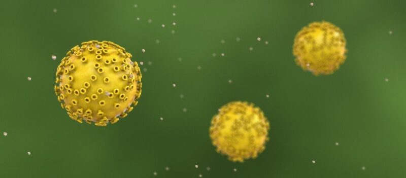 Metastaz Nedir? Tedavi Seçenekleri Nelerdir?